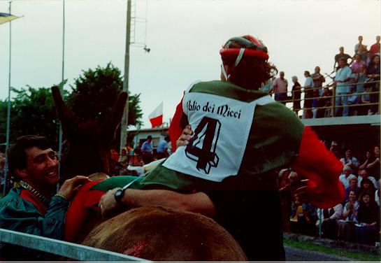 L'arrivo del 1993: l'ottava vittoria rossoverde.